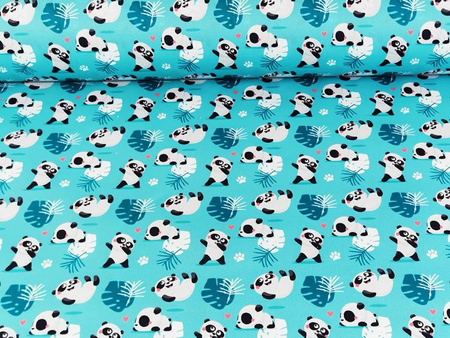 Dzianina PUL , Pandy