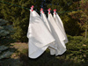 Pielucha BirdsEye - 68x68cm, 145g, 